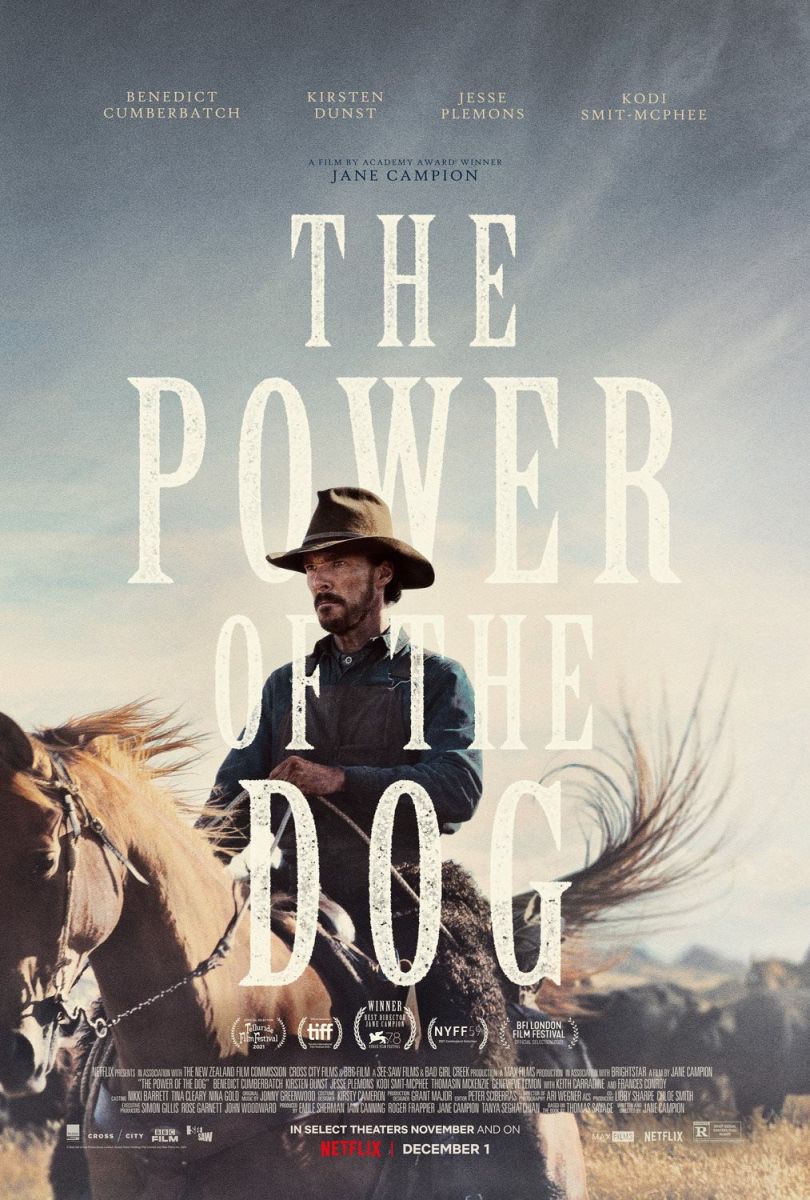 Power of the Dog của Netflix - Ảnh: Internet