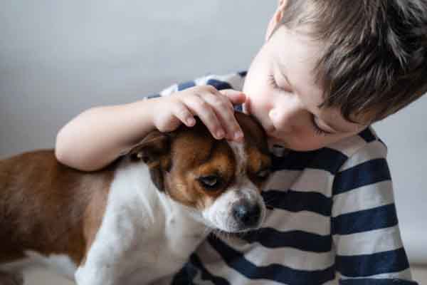 Biểu hiện tâm lý phụ huynh thường bỏ qua khi trẻ hành hạ động vật