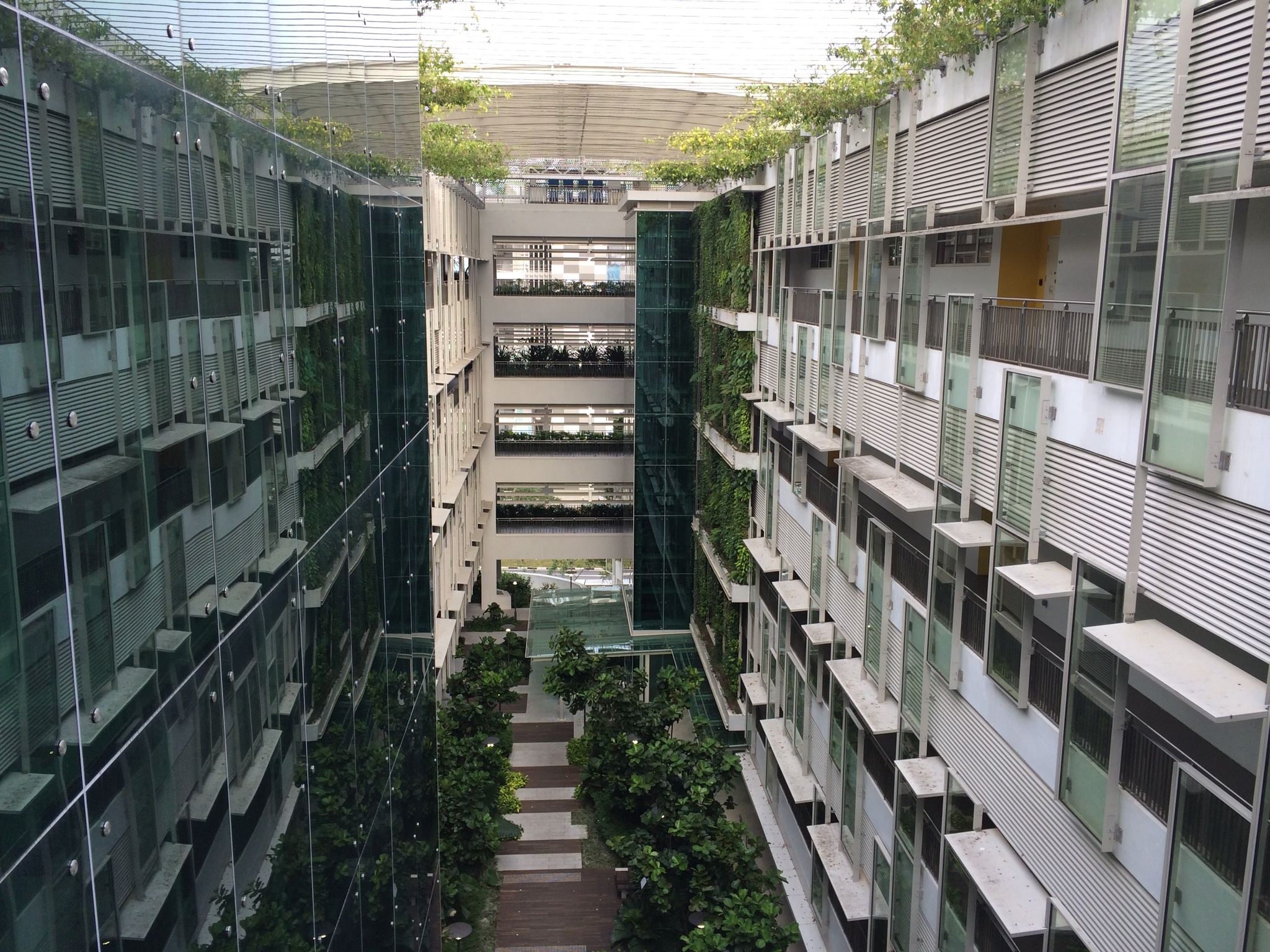 Cây xanh tràn ngập khu CleanTech của Sinagpore. Nguồn ảnh: Business Wire