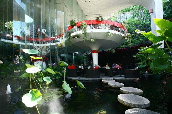 Trong không gian xanh mát của một không gian thưởng thức cà phê giữa lòng Sài Gòn