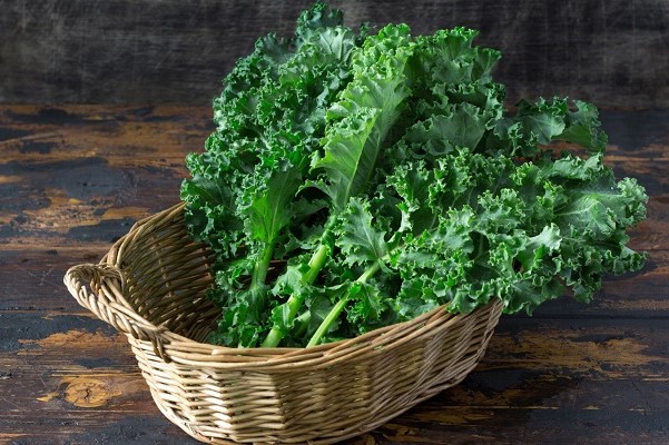 Kale - Mở màn trào lưu trồng rau cổ thụ tại nhà