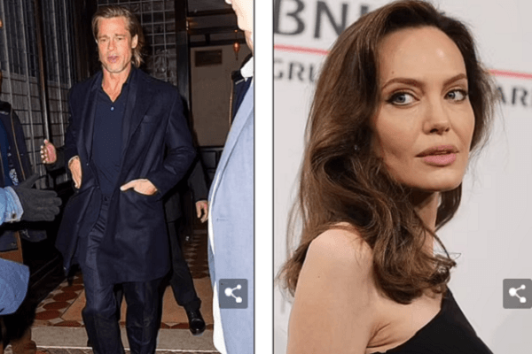 Brad Pitt cáo buộc Angelina Jolie bán một nửa nhà máy rượu vang