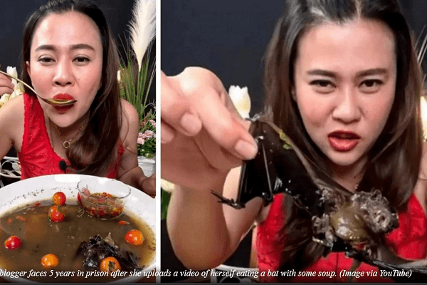 Blogger kiêm giáo viên Thái Lan gây phẫn nộ vì ăn súp thịt dơi