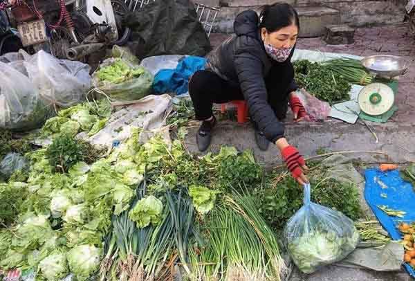 Hưng Yên: 200.000 đồng/kg ớt, rau xanh tăng giá chóng mặt ngày 30 Tết