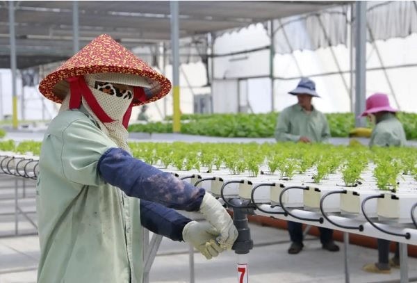 Doanh nghiệp công nghệ Israel thâm nhập thị trường nông nghiệp Đông Nam Á