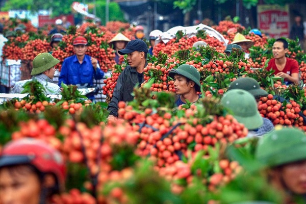 Nông sản Việt Nam cần biến nguy cơ thành thời cơ trong đại dịch COVID-19