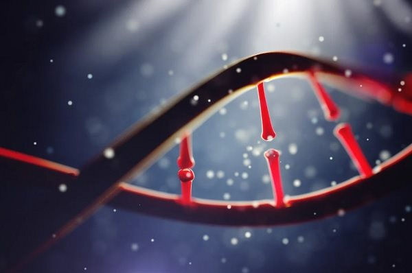 Vi rút gây COVID-19 có thể tác động đến DNA người