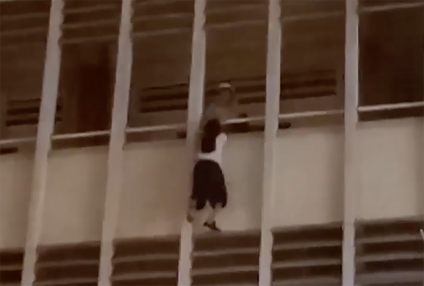 Rùng mình clip nữ sinh đu trên lan can tầng 3 ở TP.HCM được người đàn ông cứu mạng
