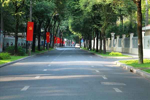 Những con đường rợp bóng cổ thụ ở Sài Gòn