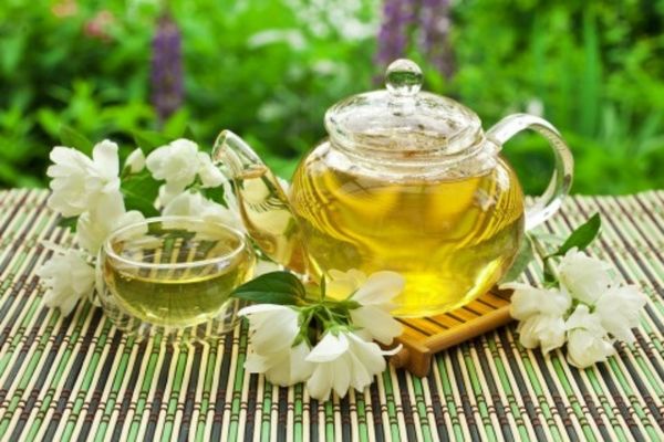 Vì sao trà hoa nhài giúp làm sạch gan và bảo vệ thị lực?