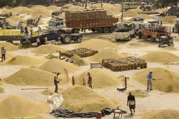 Thế giới đứng ngồi không yên trước tin Ấn Độ muốn giảm xuất khẩu gạo đồ