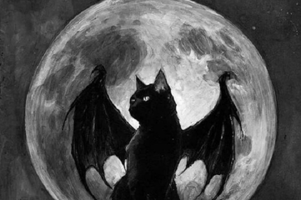 Vì sao mèo đen - biểu tượng Halloween bị con người sợ hãi và phân biệt đối xử?