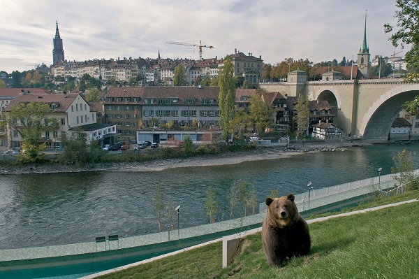 Điều đặc biệt ở Bern – thành phố cổ kính của những chú gấu