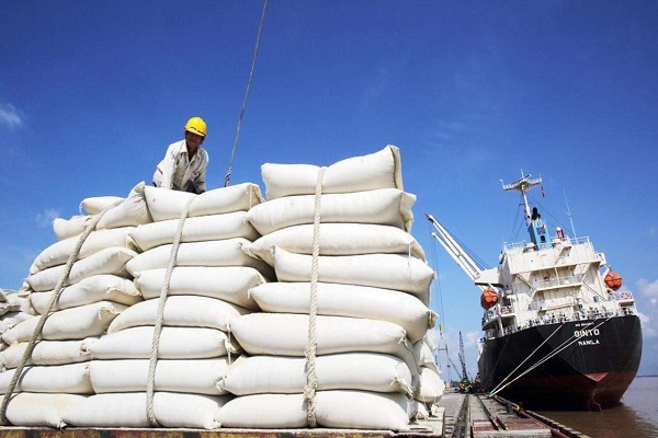 Giá lúa gạo tăng cao, Thủ tướng chỉ đạo 'nóng'