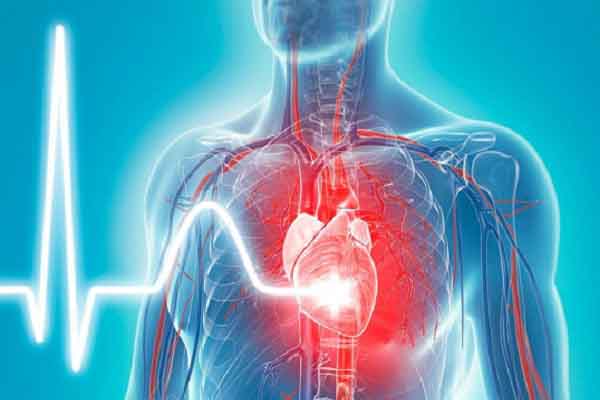 COVID-19 gây tổn thương đến tim người như thế nào?