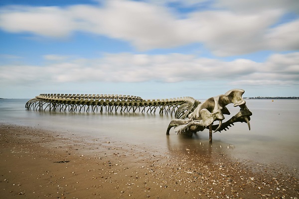 Lạ lùng bộ xương rắn khổng lồ trên bờ biển hoang vu nước Pháp