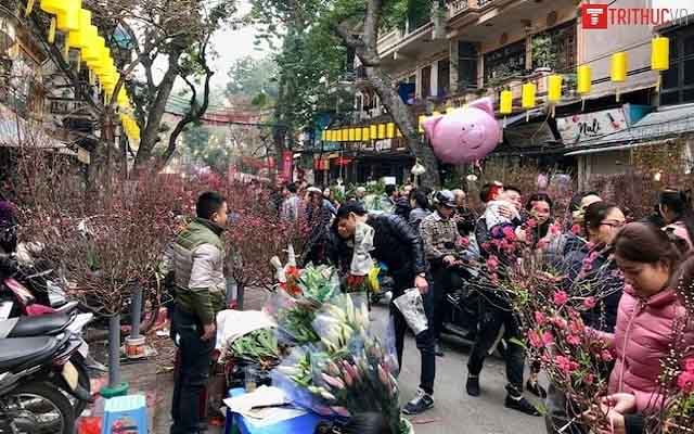 Những chợ hoa Tết nổi tiếng ở Hà Nội