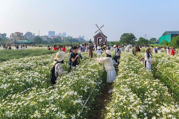 Những địa điểm check-in 12 mùa hoa ở Hà Nội (P.2)