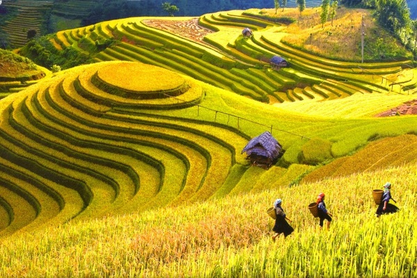 Những địa điểm du lịch hấp dẫn 12 tháng ở Việt Nam (P.2)