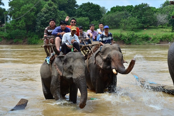 Chính thức dừng dịch vụ cho du khách cưỡi voi gây tranh cãi ở Đắk Lắk