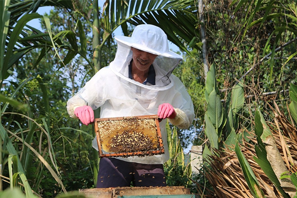 Nông dân Hà Tĩnh thoát khỏi nghèo nhờ nghề nuôi ong lấy mật
