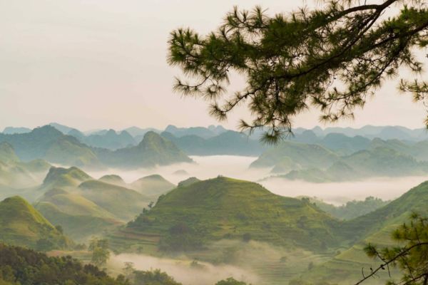 Điểm check-in 'view triệu đô' ở Cao Bằng, đồi cỏ Vinh Quý vào mùa cỏ xanh