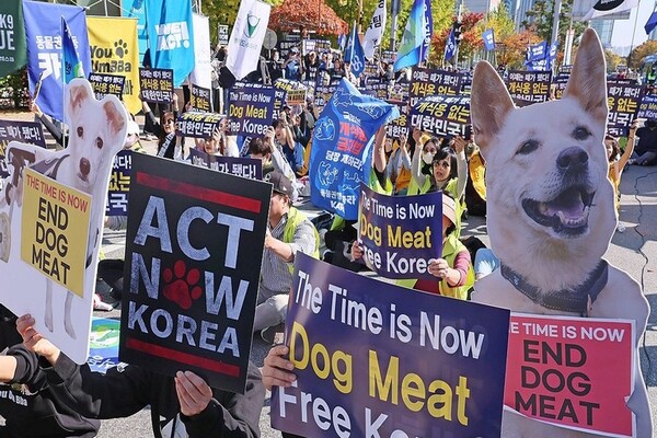 Người ủng hộ, kẻ phản đối khi Hàn Quốc thông qua luật cấm thịt chó