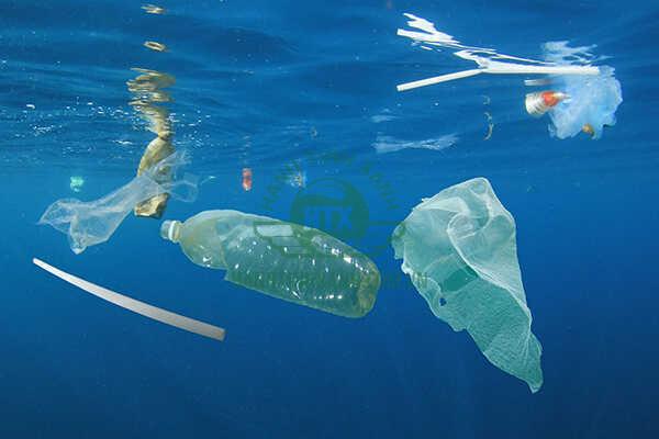 Tôi Là Một Mảnh Nhựa Dưới Đáy Biển Và Tôi Sẽ Ở Đây… Hàng Trăm Năm Nữa