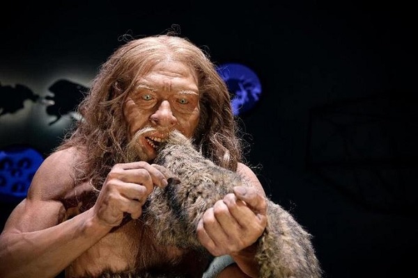 Vì sao chủng người Neanderthal thông minh lại bị tuyệt chủng cách đây 30.000 năm?