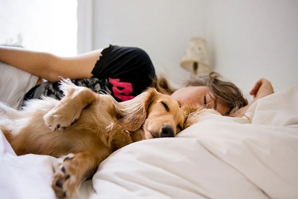 Có nên ngủ cùng thú cưng?