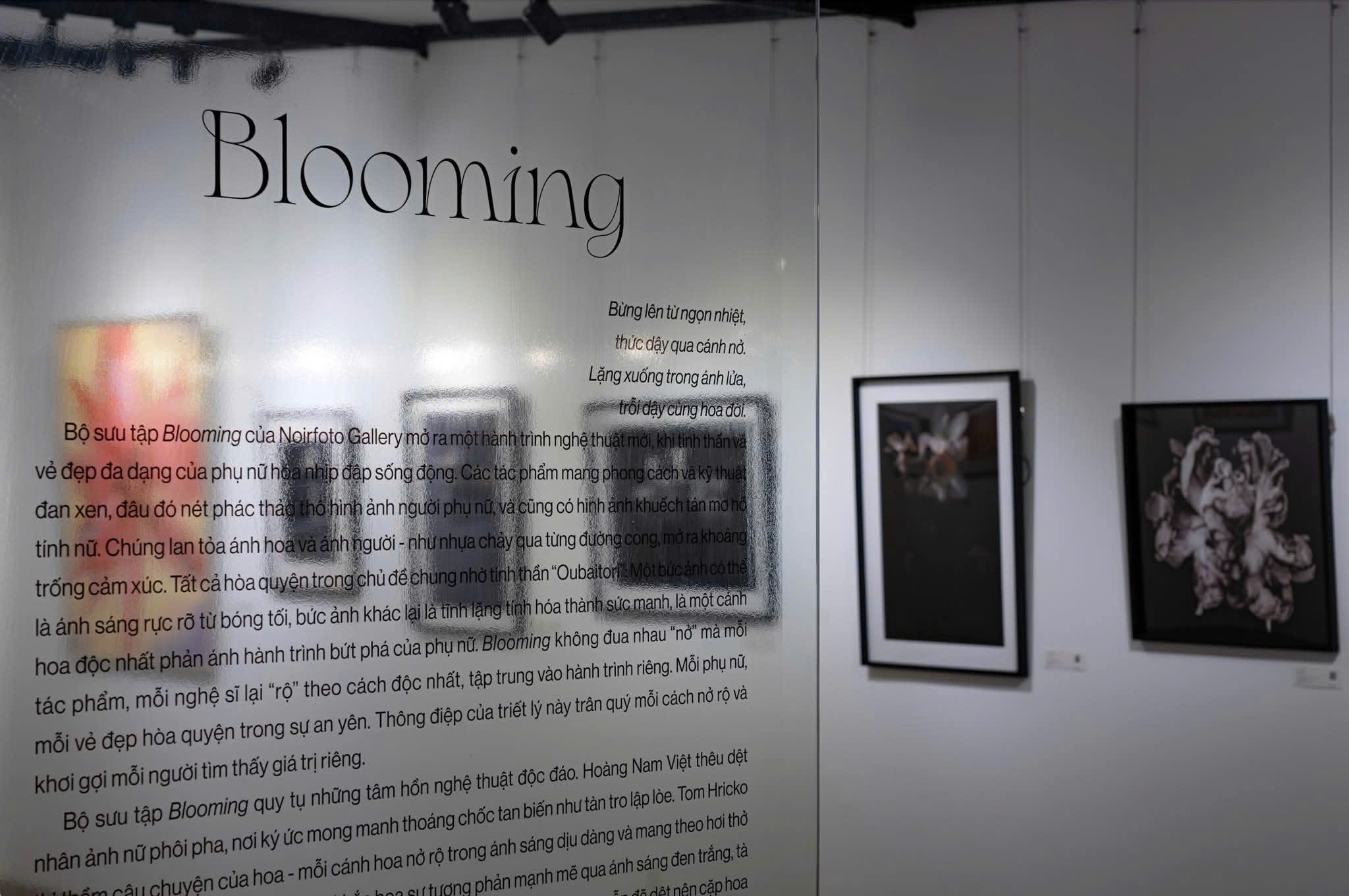 'Blooming' - Triển lãm của Noirfoto Gallery tôn vinh vẻ đẹp hồi sinh và sức mạnh nội tại