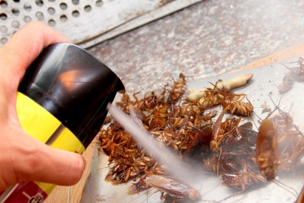 Từ ngày 1/10: Bán thuốc diệt côn trùng chung với thực phẩm bị phạt 3 triệu đồng