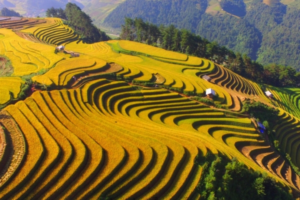 Mù Cang Chải của Việt Nam được CNTraveler xếp hạng địa điểm rực rỡ nhất thế giới