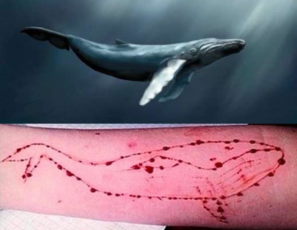 Trò chơi Thử thách cá voi xanh nguy hiểm đã có mặt ở Việt Nam