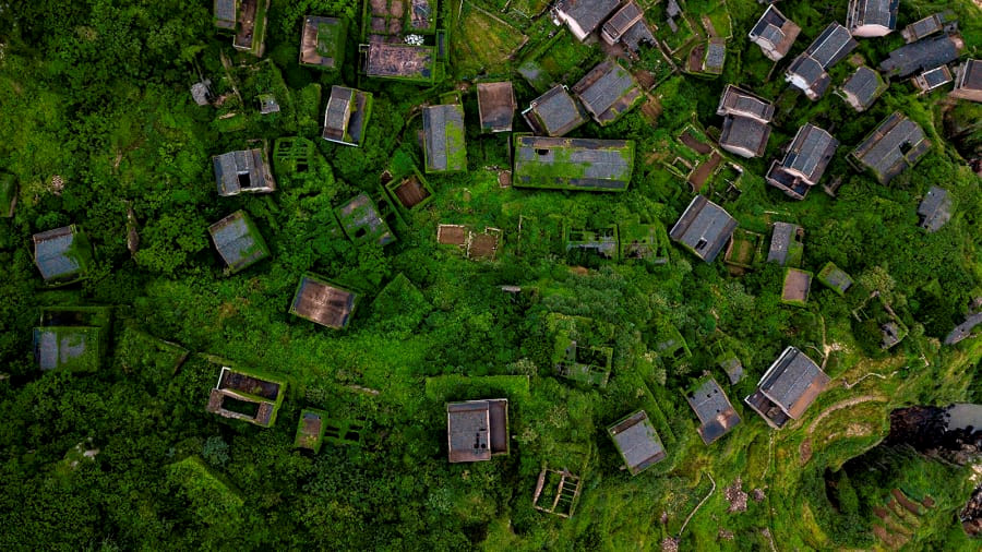 Ngôi làng "rêu xanh" ngày càng nổi tiếng vì bị con người lãng quên