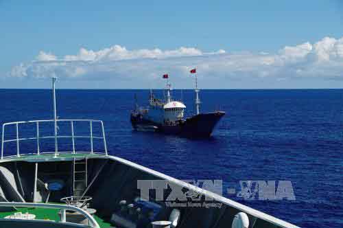 Tàu cá Trung Quốc bị Argentina phạt 400 ngàn USD vì đánh bắt sai quy định