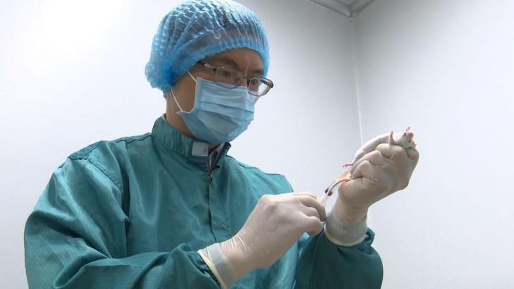 Vắc xin phòng COVID-19 của Việt Nam có bước tiến vượt bậc khi thử nghiệm trên chuột