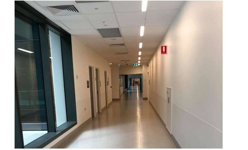 Câu chuyện xúc động về những "thiên thần áo trắng" ở bệnh viện Hoàng Gia Nam Úc