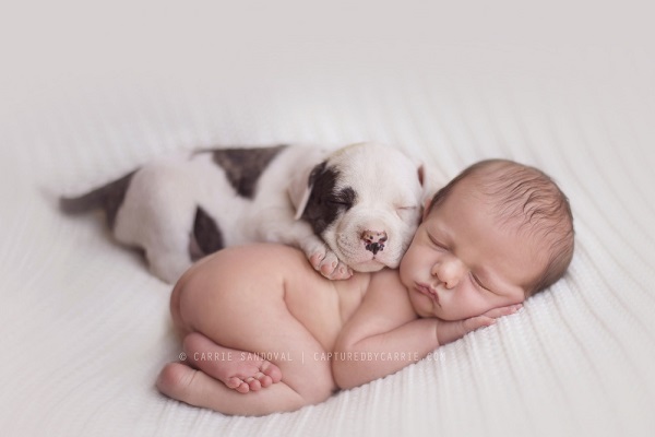 Babies and puppies