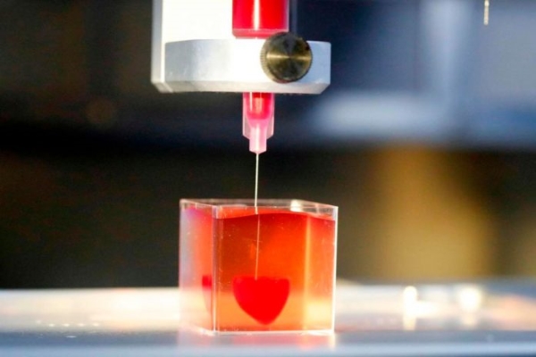 Trái tim đầu tiên có mạch máu được làm từ công nghệ in 3D