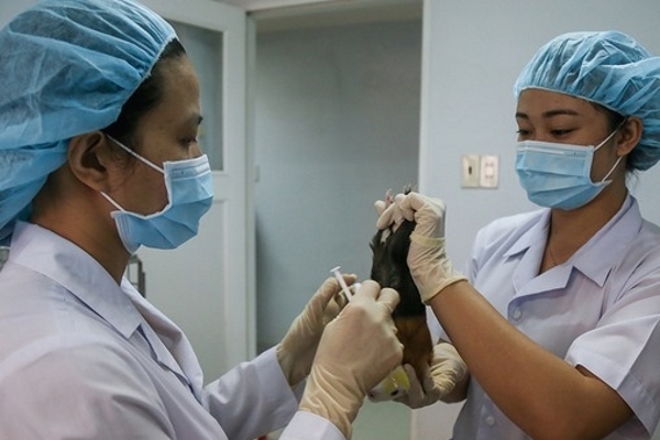 Việt Nam tiêm thử vaccine Covid-19 trên chuột