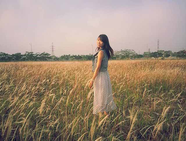 3 điểm chụp ảnh với cỏ lau đẹp mê hồn ở Hà Nội