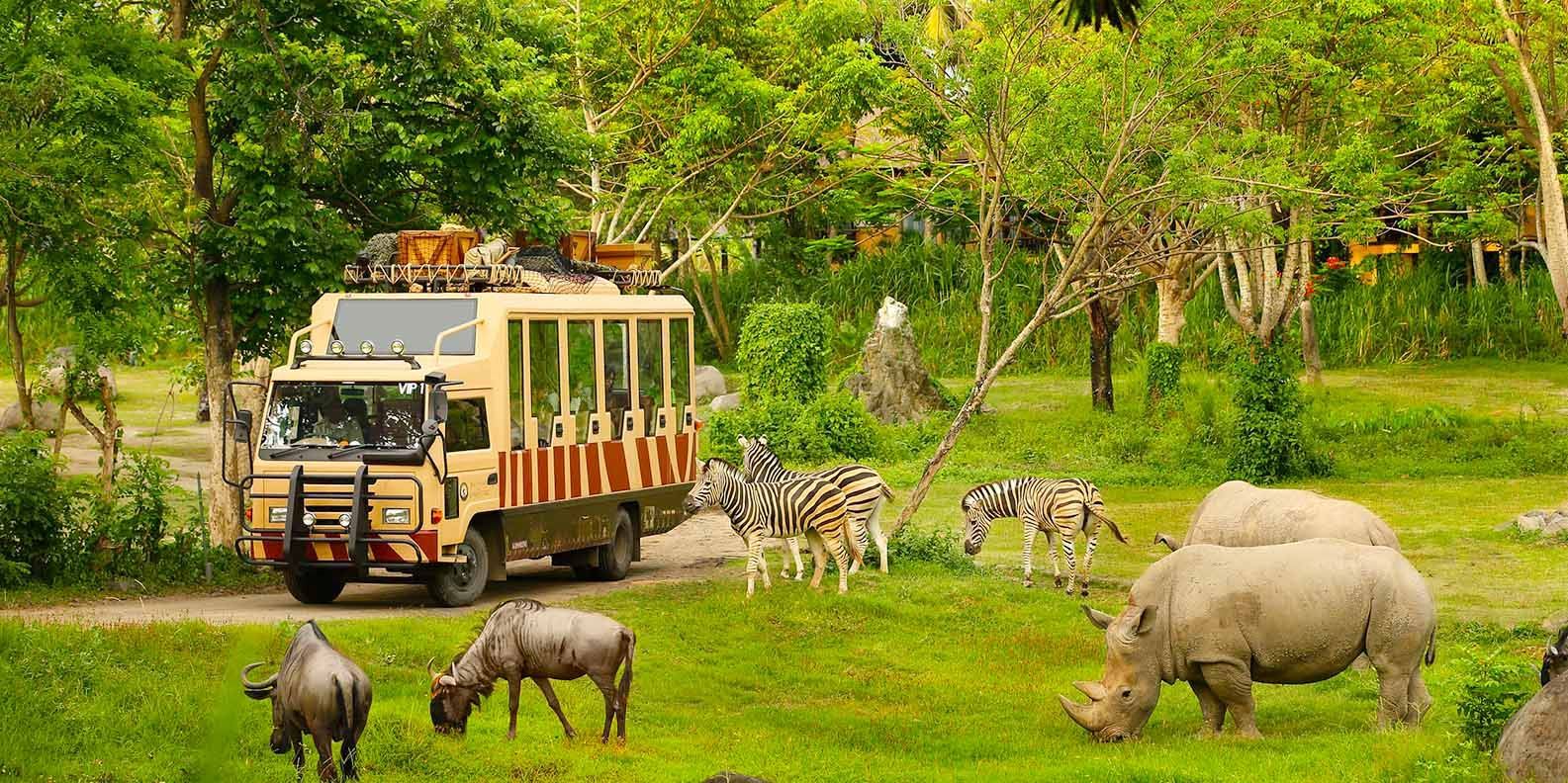 Safari Phú Quốc – điểm đến không thể thiếu cho gia đình Việt