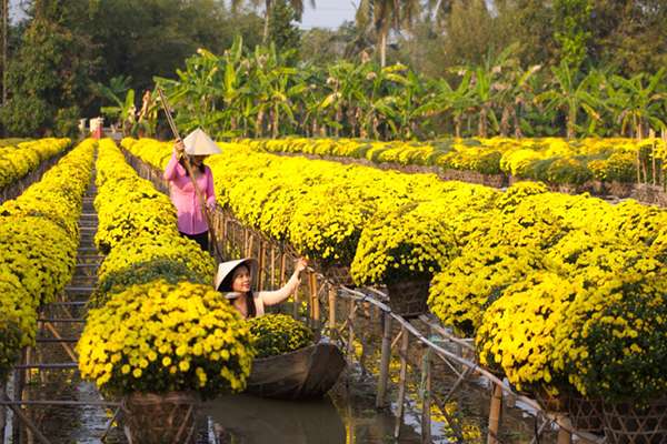 Khám phá mùa nước nổi miền Tây