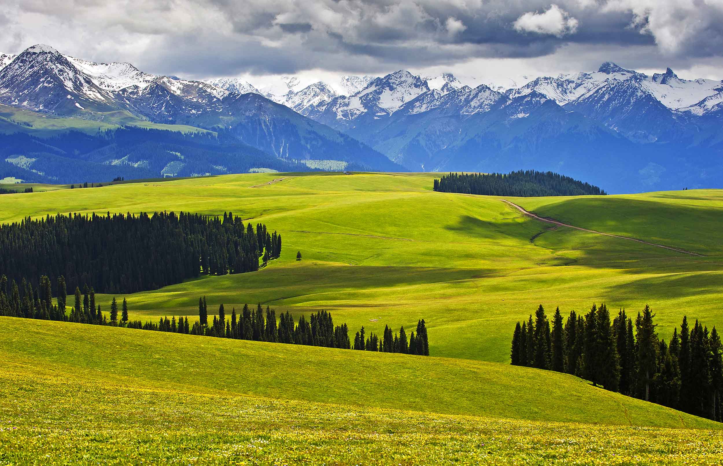 Những món ăn ngon nhất Đà Nẵng theo gợi ý của Michelin