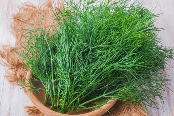 Bạn có biết rau thì là hữu ích với sức khỏe như thế nào?