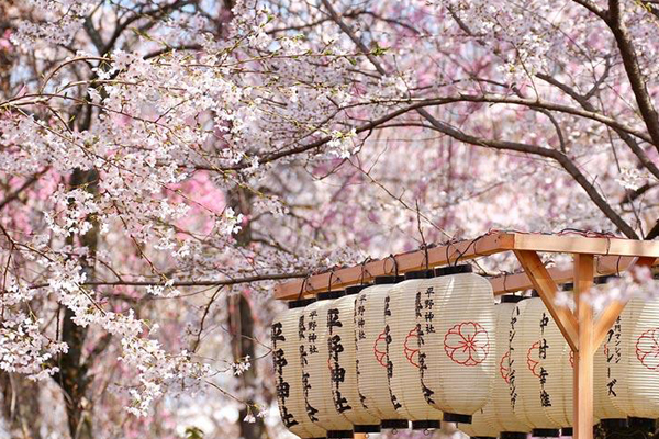 6 món ăn nhất định phải thử khi đến Nhật Bản