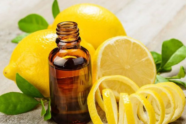 5 loại tinh dầu giúp giảm dị ứng hiệu quả