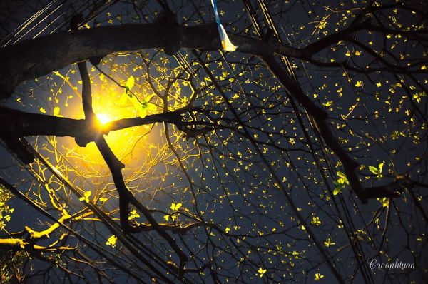 Chuyện của mùa đông