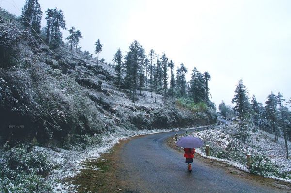 Nhớ mùa tuyết Sa Pa